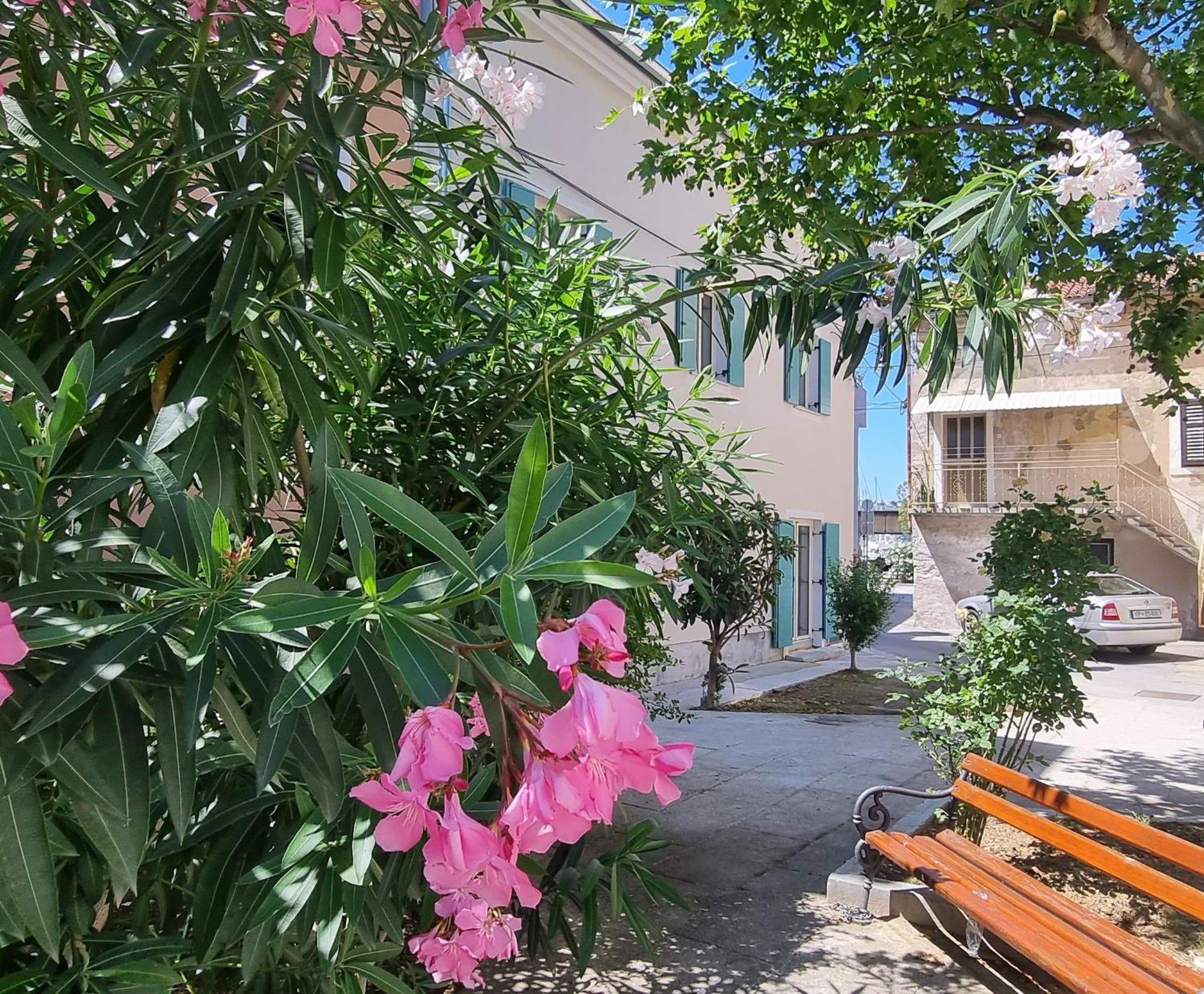 Dea Del Mar Apartments إيزولا المظهر الخارجي الصورة